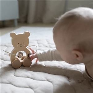 Teddy mit Abacus Nature Line C2548